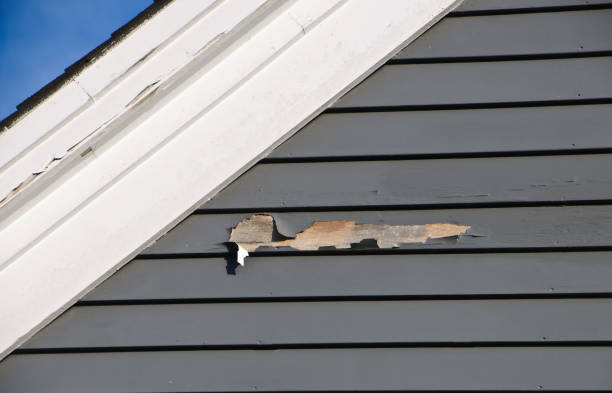 Best Insulated Siding Installation  in Bellevue, WA